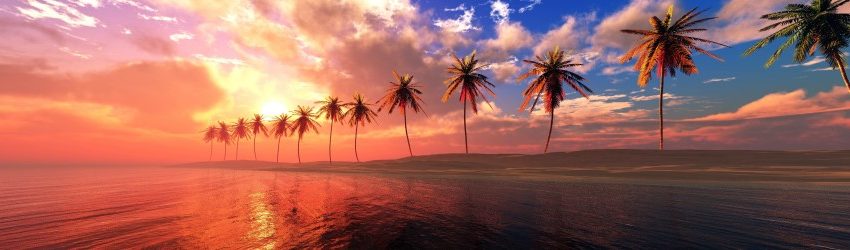 夏のカクテル